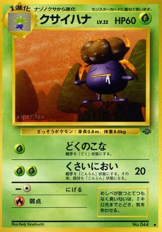 Ortide Jungle 044 - Japonais