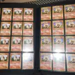 Collection-Morgan-TCG-3