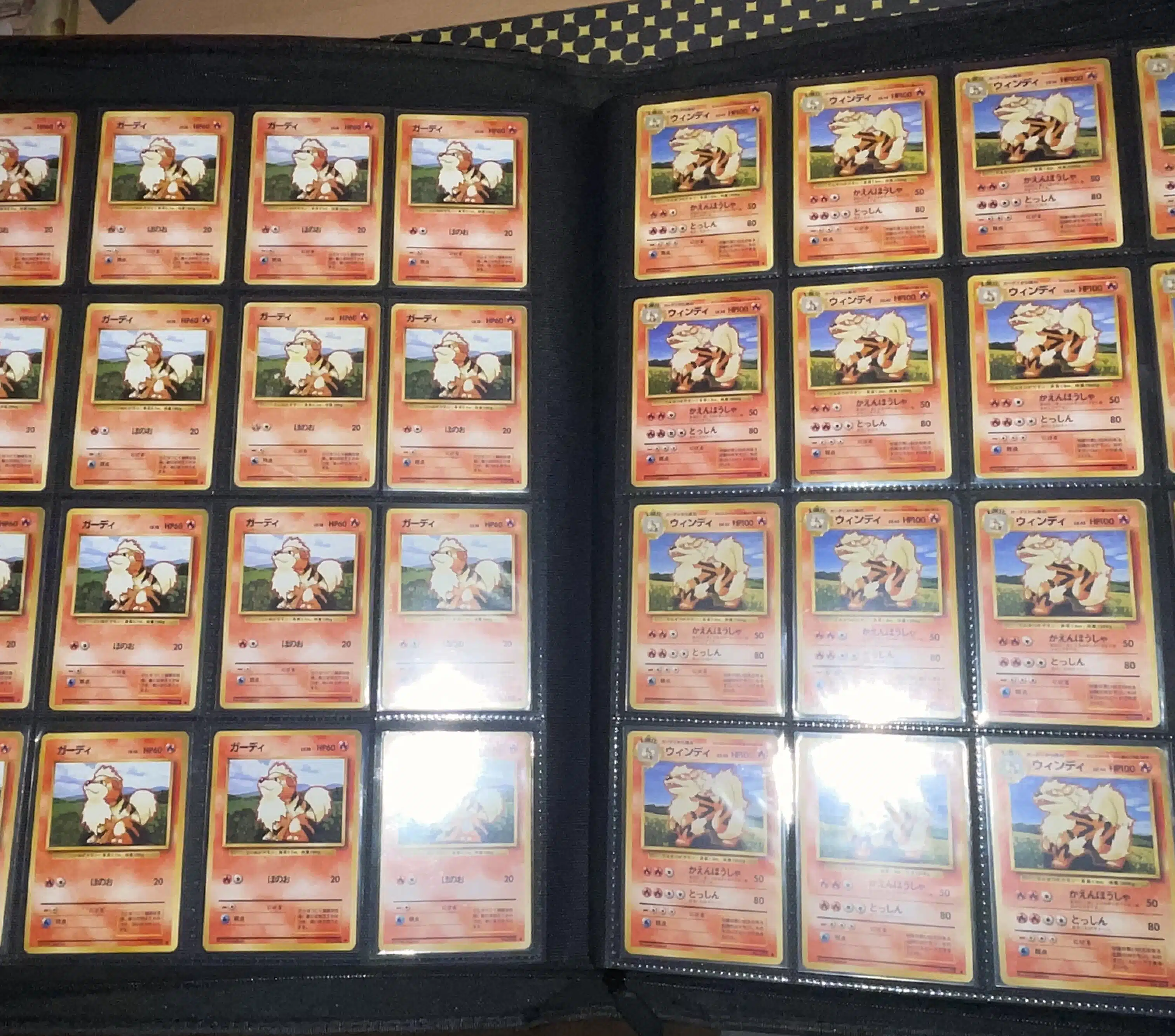 Collection-Morgan-TCG-3