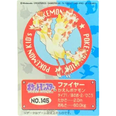 Catégorie New Pokemon Kids 1