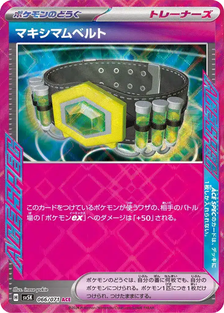 Ceinture Maximale 066/071 - Wild Force (sv5K)