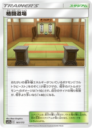 Dojo des Arts Martiaux 161/173 - Tag All Stars (sm12a)