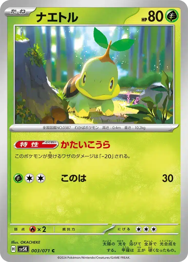 Tortipouss 003/071 - Wild Force (sv5K)