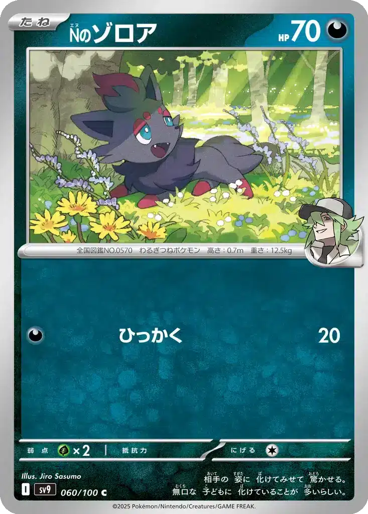 Zorua de N 060/100 - Battle Partners (sv9)