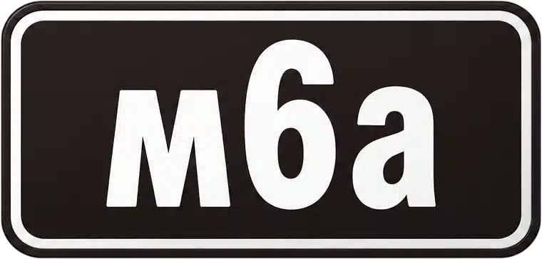 Catégorie 30th Celebration (m6a)