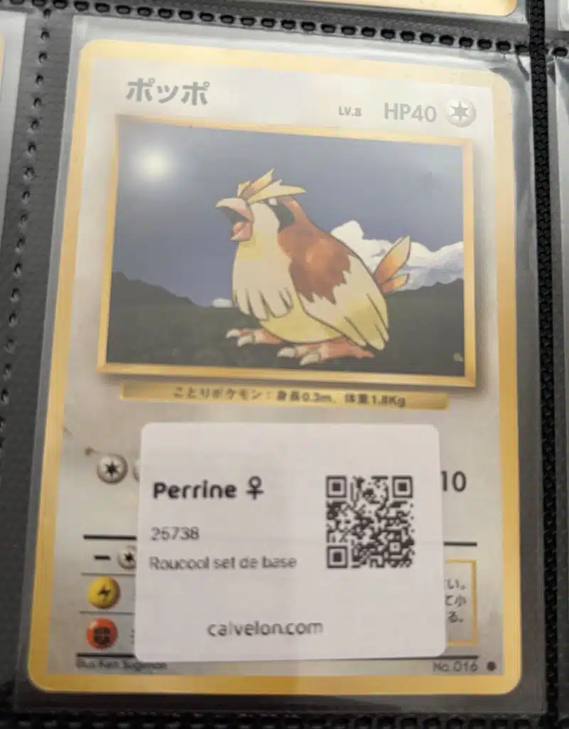 Carte d'identité